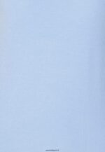 femmes t-shirt basique bleu 006BT289 Anna Field - Image 5
