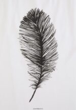 femmes t-shirt imprimé blanc 006BT371 Anna Field - Image 12
