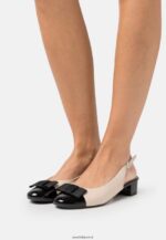 femmes talons classiques beige/noir 006BT1730 Anna Field
