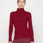 femmes pull rouge foncé 006BT843 Anna Field