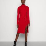 femmes rollkragen ripp mini srickkleid mit grtel robe pull rouge 006BT232 Anna Field